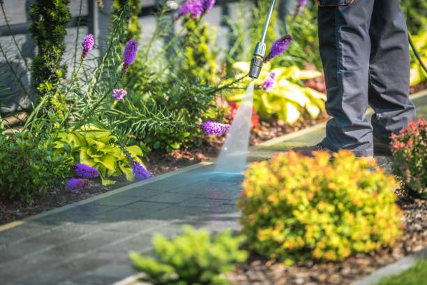 Alamo Heights, TX Pressure Washing Services Company