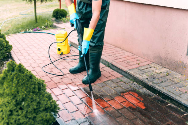 Best Animal Enclosure Cleaning  in Alamo Heights, TX